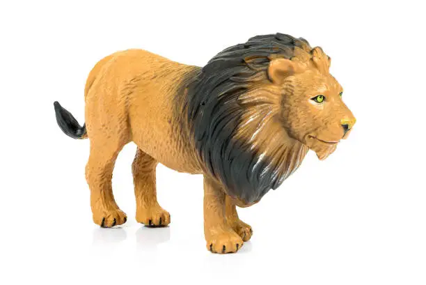 Photo of Lion toy figure on white background