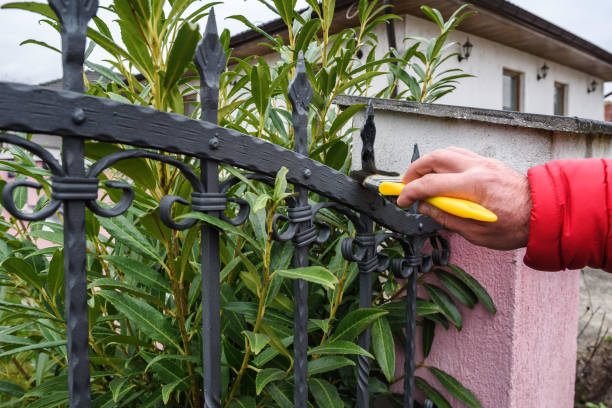 istock painting a fence 1190504289