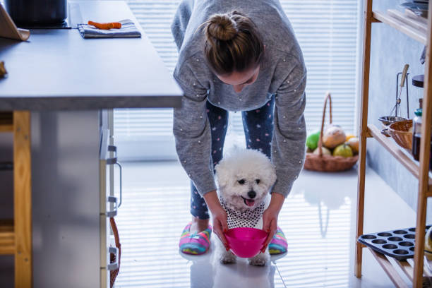 istock Woman feeding her dog in the kitchen 1190505392