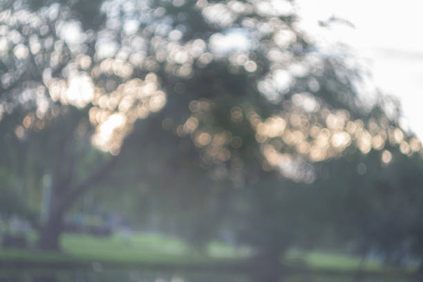 istock Abstract blur green exercise park in spring outdoor background concept for blurry beautiful nature field, horizon autumn meadow scene, eco environment day in summer blossom. 1190505792