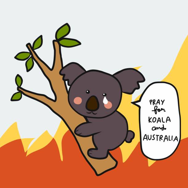 ilustrações de stock, clip art, desenhos animados e ícones de pray for koala and australia cartoon vector illustration - eucalyptus tree tree australia tropical rainforest