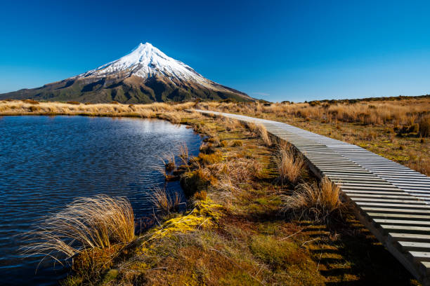 View of Mt. Taranaki (Mt. Egmont), New Zealand View of Mt. Taranaki (Mt. Egmont), New Zealand dormant volcano stock pictures, royalty-free photos & images