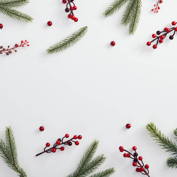 istock Evergreen tree branch and red berries 1190533378
