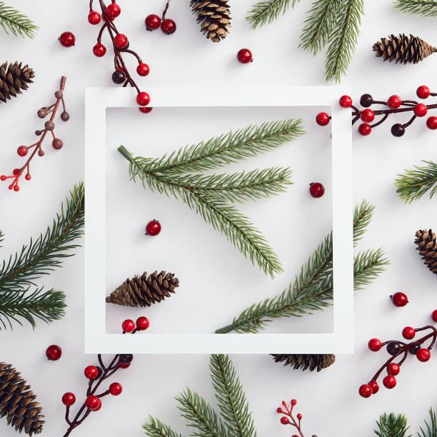 istock Evergreen tree branch and red berries 1190533386