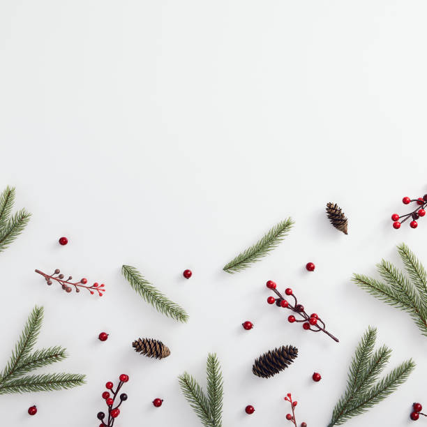 istock Evergreen tree branch and red berries 1190533410