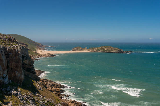 belle réserve naturelle avec des falaises et une plage de sable fin. paysage sud-africain de côte - plettenberg bay tourist resort south africa coastline photos et images de collection