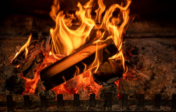 дровяной огонь в разгар зимы, данидин, новая зеландия - 7646 стоковые фото и изображения