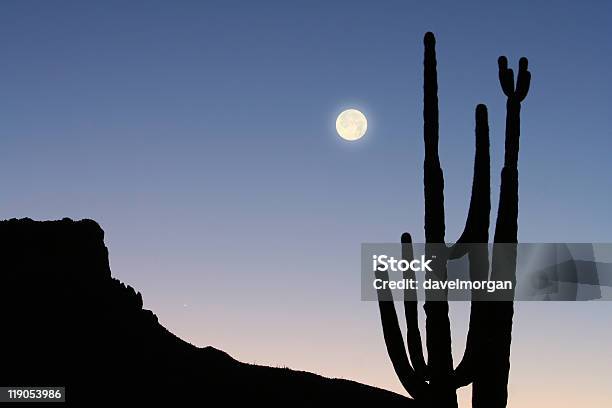 Горы Кактус И Луна — стоковые фотографии и другие картинки Кактус - Кактус, Tonto National Forest, Аризона - Юго-запад США