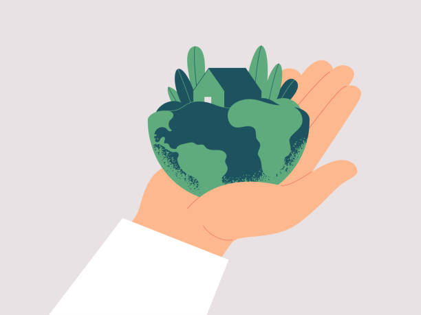 Human hand carefully holds planet Earth. Human hand carefully holds planet Earth. Green house is among leaves on the males palm. Ecological concept fo save the Earth. Vector illustration isolated from background sustainability stock illustrations