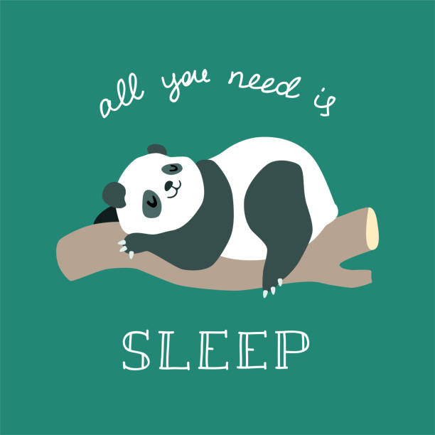 85 Cartoon Funny Panda Lying Down Illustrations & Clip Art - iStock