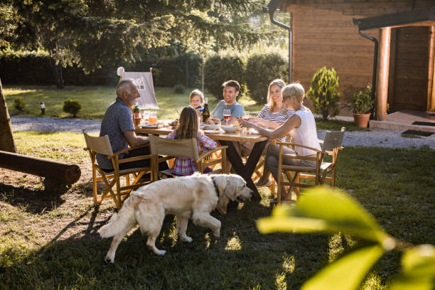 istock Smiling multi-generation family communicating during picnic lunch in the backyard. 1190545524