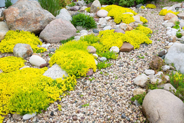 istock rockery rock garden 1190546809