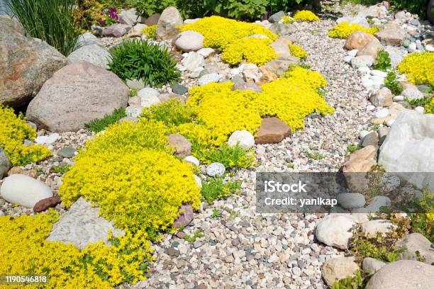 Rockery Rock Garden Stock Photo - Download Image Now - Yard - Grounds, Stone - Object, Landscaped