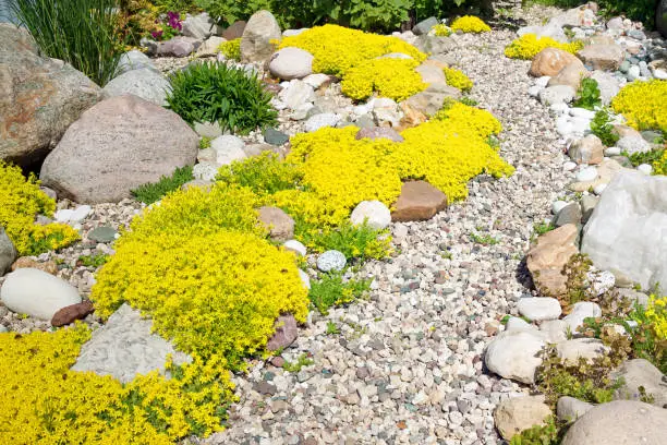 Photo of rockery rock garden