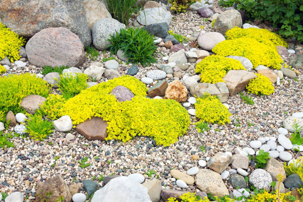 istock rockery rock garden 1190546855