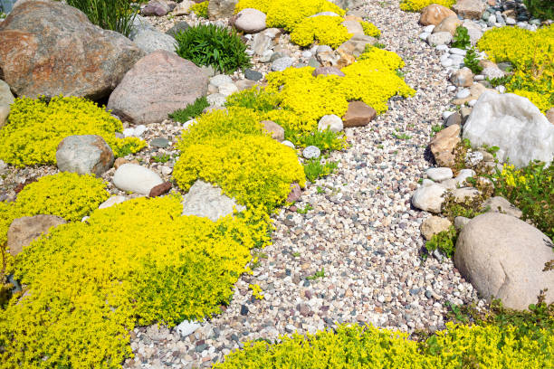 istock rockery rock garden 1190546874