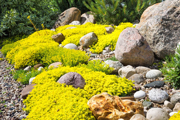 istock rockery rock garden 1190546981