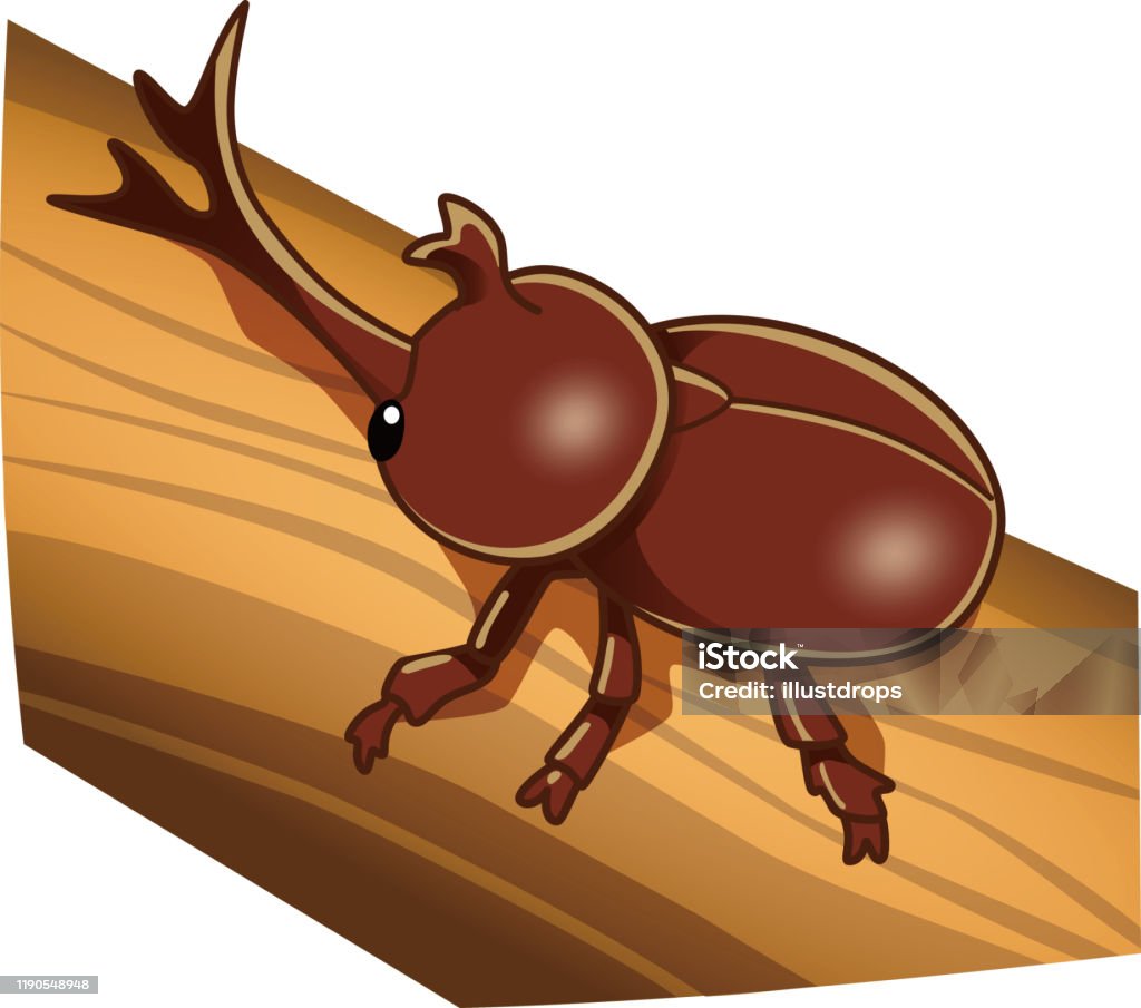 딱정벌레 장수풍뎅이에 대한 스톡 벡터 아트 및 기타 이미지 - 장수풍뎅이, 0명, 곤충 - Istock