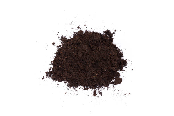 istock Heap of soil isolated on a white background 1190552630