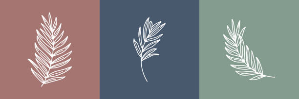 Set of tropical leaves. Outline Palm leaf and Olive Branch In a Modern Minimalist Style. Vector Illustration. Set of tropical leaves. Outline Palm leaf and Olive Branch In a Modern Minimalist Style. Vector Illustration. For printing on t-shirt, Web Design, beauty Salons, Posters, creating a logo and other palm tree illustrations stock illustrations