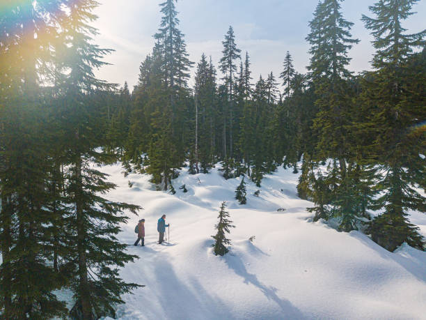 coppia matura e multietnica con le ciasci in neve fresca attraverso la foresta alpina - snowshoe foto e immagini stock