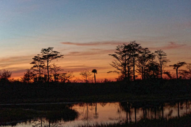 istock Louisiana Swamp sunset silhouette and reflections 1190555778
