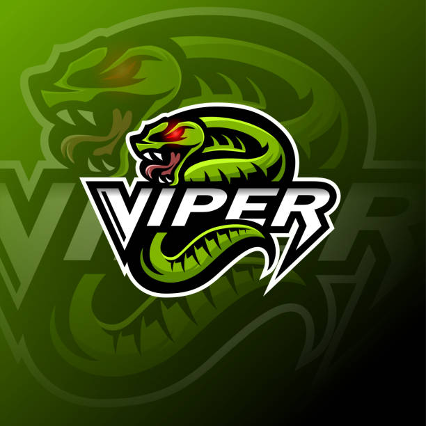 ilustrações, clipart, desenhos animados e ícones de projeto verde do logotipo da mascote da serpente da víbora - víbora