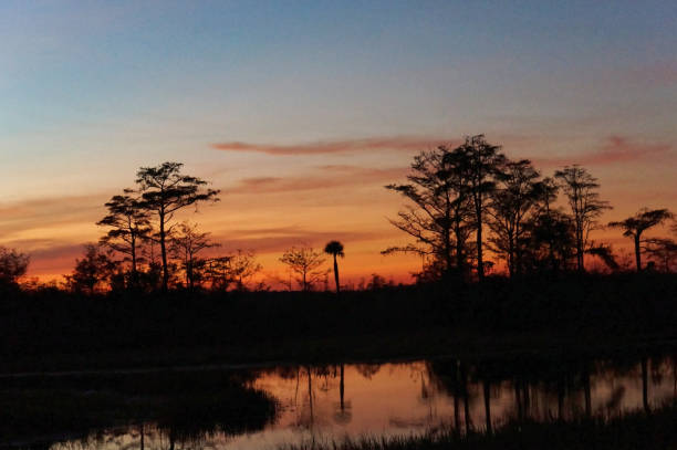 istock Louisiana Swamp sunset silhouette and reflections 1190556796