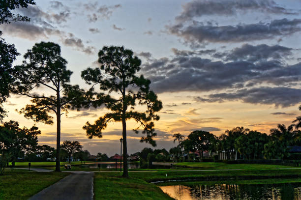 Louisiana sunset swamp and cypress silhouettes