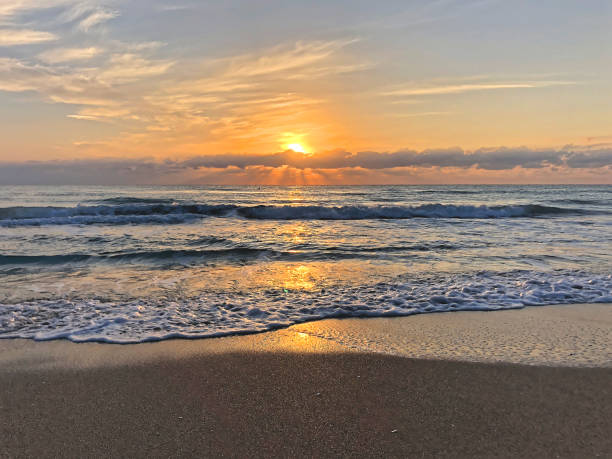 istock bird flying on the beach at sunrise 1190560621