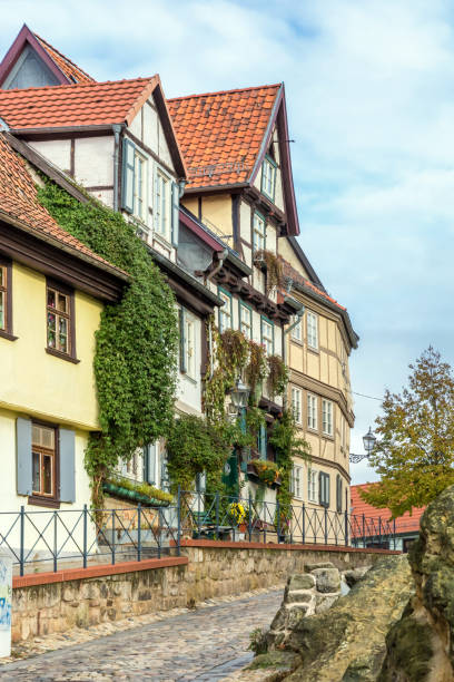 istock Historic half-timbered houses with climbing plants as natural facade greenery 1190561020
