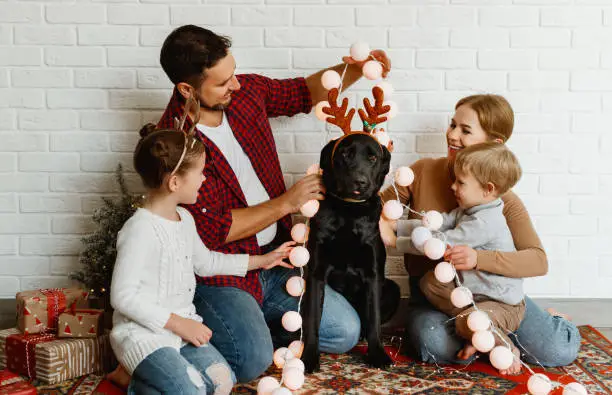 Photo of happy Christmas! family mother father and kids with dog before Christmas with garland   and tree