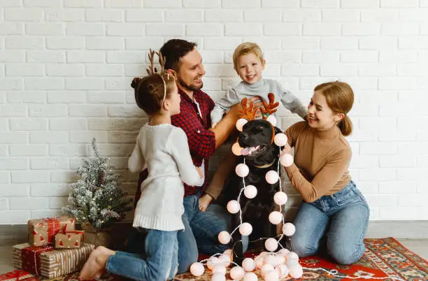 Photo of happy Christmas! family mother father and kids with dog before Christmas with garland   and tree