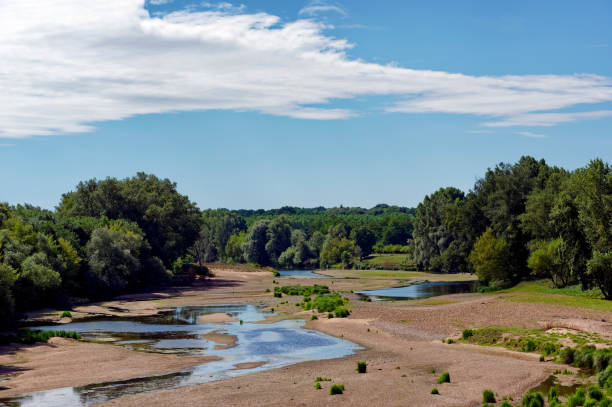 istock Vineyards in Loire valley 1190571175