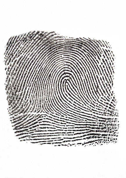 Fingerprint stock photo