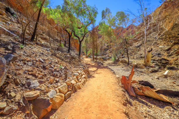 스탠들리 섀시까지의 보도 - alice springs australia northern territory outback 뉴스 사진 이미지