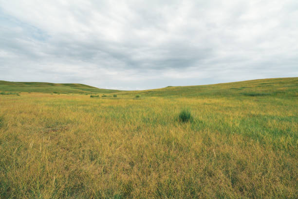 Beautiful grassland in Xinjiang, China