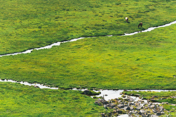 Beautiful Bayanbulak grassland in Xinjiang, China