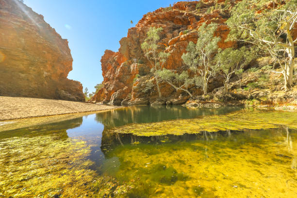 istock Ellery Creek Big Hole 1190575740