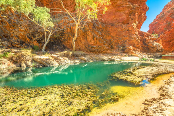 ellery creek big hole - ellery creek stock-fotos und bilder