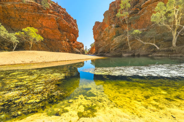 ellery creek big hole - ellery creek fotografías e imágenes de stock