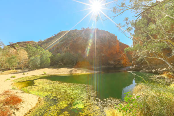 ellery creek big hole - ellery creek fotografías e imágenes de stock