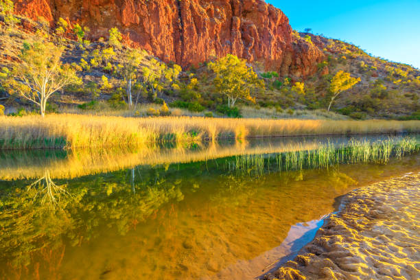 글렌 헬렌 협곡 반사 - alice springs australia northern territory outback 뉴스 사진 이미지