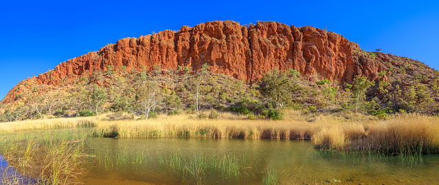 Spectacular sandstone wall Glen Helen Gorge with waterhole on Finke River. Panorama of Tjoritja - West MacDonnell Ranges, Northern Territory, Central Australia. Australian outback along Red Centre Way