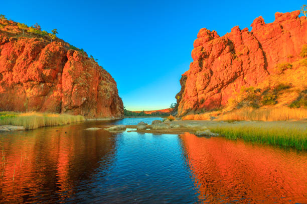 garganta de glen helen en el río finke - northern territory fotografías e imágenes de stock