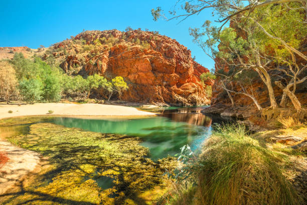 ellery creek macdonnell ranges - ellery creek fotografías e imágenes de stock