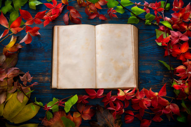 istock Autumn vintage old real book blank pages leaves frame 1190578615