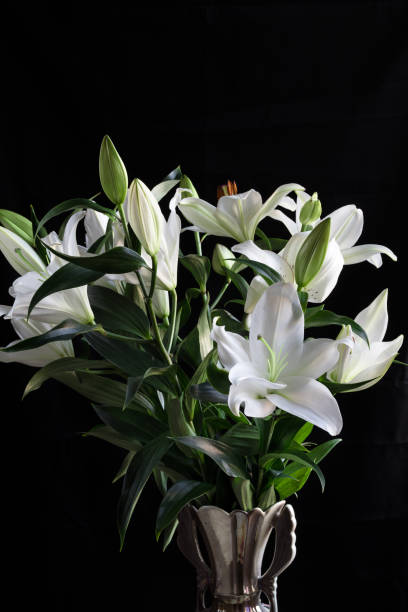 istock bouquet of lilies in a vase 1190583806