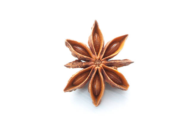 istock Dry brown star anise on light background. 1190584679