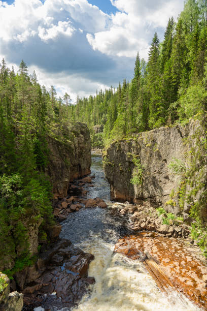 cañón o arroyo en suecia a la luz del sol de verano brillante - deep creek area fotografías e imágenes de stock